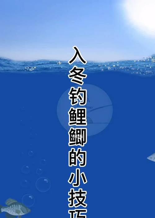 美国钓鱼技巧新手入门教学（深入探索美国钓鱼技巧，让您成为钓鱼达人）  第2张