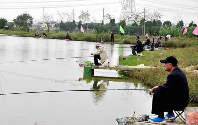 野钓鲤鱼之打窝技巧（揭秘如何打窝，提升钓鲤成功率）  第1张