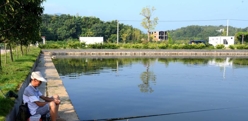 掌握水域钓鱼上钩技巧的秘诀（大师级教学揭秘，让你成为钓鱼者）  第2张