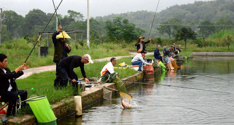 钓鱼冬钓野钓的技巧与经验（掌握冬季钓鱼技巧让你的钓鱼之旅更加精彩）  第3张