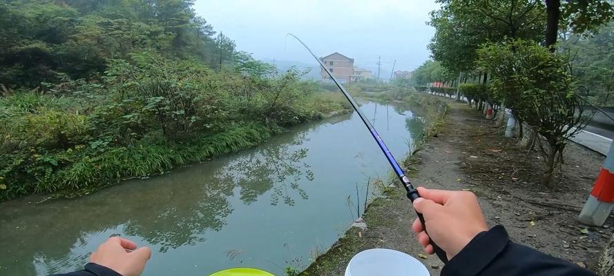 钓鱼野钓大虾的技巧（探秘钓鱼达人的精湛技艺）  第1张