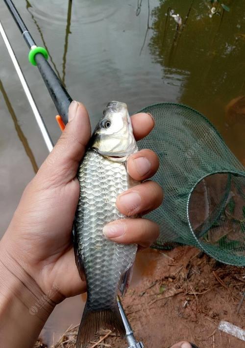 钓鱼手抽筋技巧与方法（专家教你防止钓鱼时手抽筋，让钓鱼更愉快）  第3张