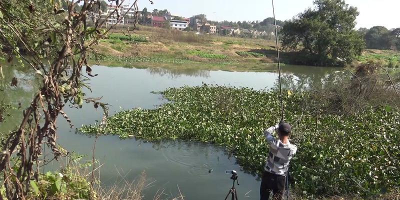 钓鱼甩竿实战技巧（大师教你甩竿钓鱼，捕获满满的渔获！）  第2张