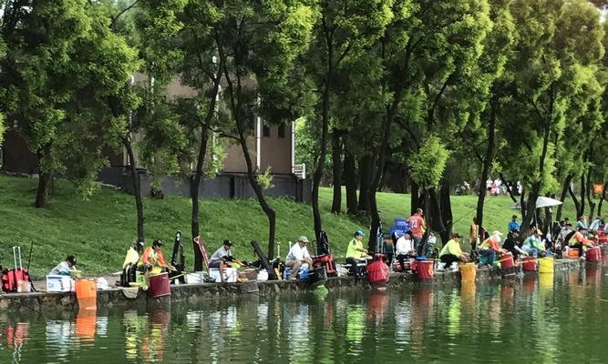 钓鱼赚钱小技巧（掌握这1个，让您的钓鱼成果翻倍）  第1张