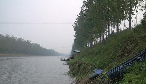 冬季水草钓鱼技巧（冬季水草钓鱼技巧详解）  第2张