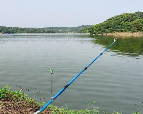 冬季水库手竿钓鱼技巧（冬季水库钓鱼的窍门与技巧）  第1张