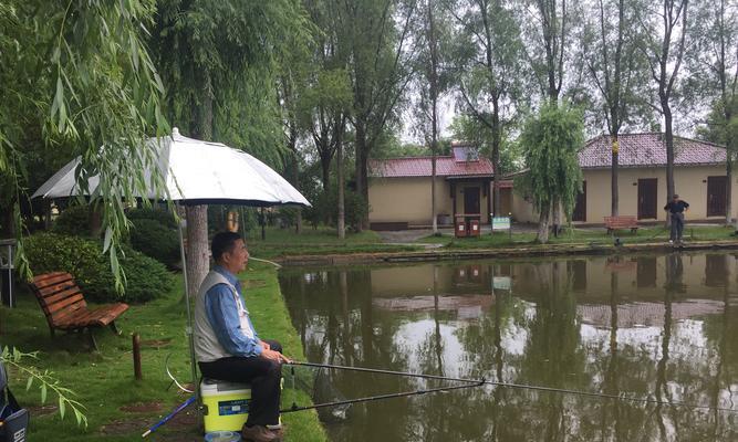 冬季水库下雨钓鱼技巧（雨中鱼儿的秘密攻略）  第1张