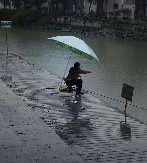 冬季水库下雨钓鱼技巧（雨中鱼儿的秘密攻略）  第3张