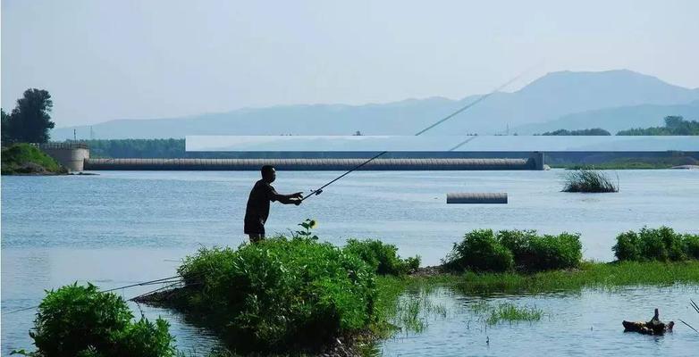 冬季太阳大钓鱼技巧（悠闲冬日）  第1张