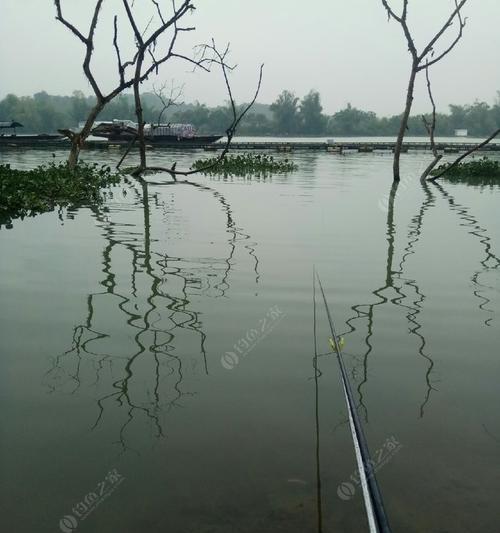 冬季下雨钓鱼的技巧和方法（钓鱼爱好者必看）  第1张