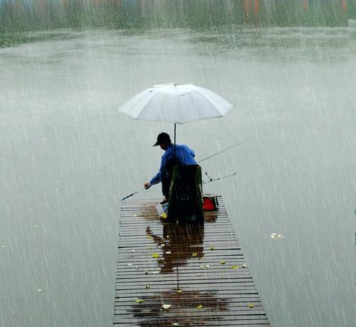 冬季下雨前钓鱼的技巧（寻找理想钓点的关键）  第2张