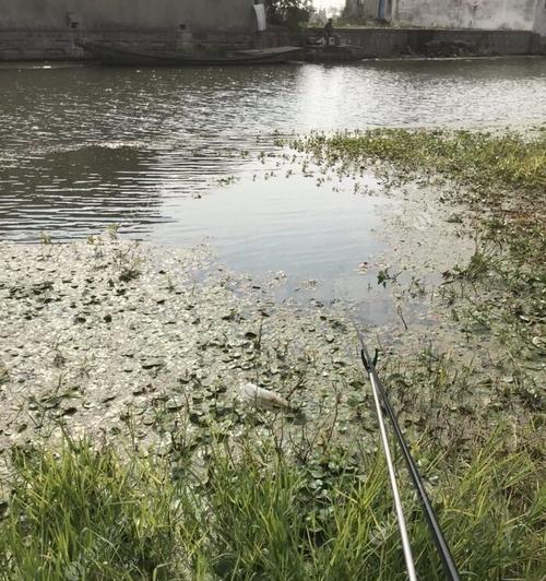 冬季下中雨钓鱼技巧（掌握雨天钓鱼窍门）  第1张