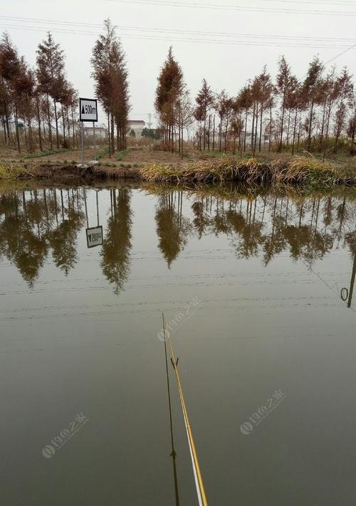 冬季野钓河沟鲫鱼打窝技巧（冰天雪地）  第1张