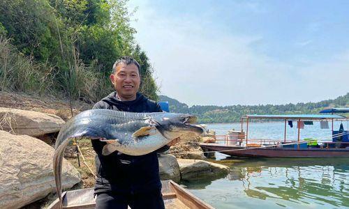 冬季野钓鲶鱼的方法与技巧（寒冷季节如何成功地钓到鲶鱼）  第3张