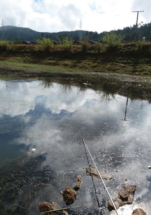 冬季野塘钓鲫鱼技巧（冬季钓鲫鱼的必备技巧与经验分享）  第3张