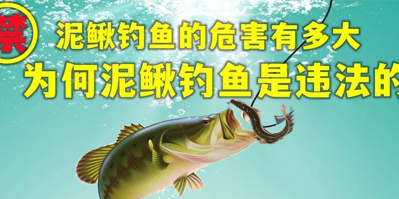 冬季泥鳅钓鱼技巧（提高冬季钓泥鳅的成功率）  第1张