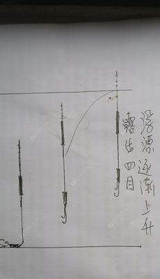 短子线野钓调漂技巧大揭秘（掌握方法）  第2张