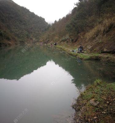 鹅塘钓鱼技巧大揭秘（钓鱼达人分享的实用技巧）  第3张