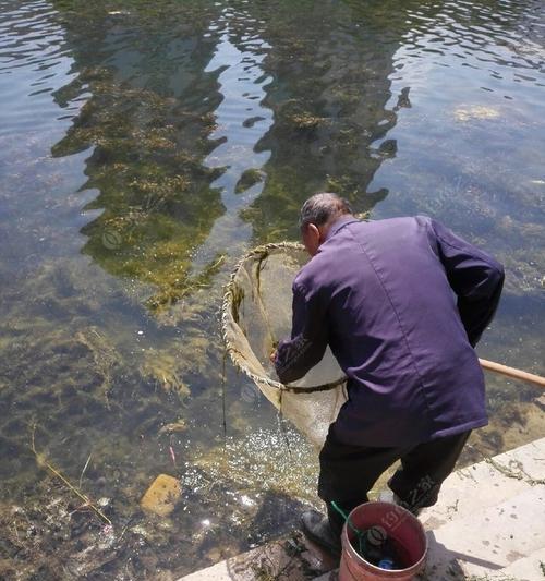 洱海钓鱼技巧大揭秘（掌握洱海钓鱼的关键）  第1张