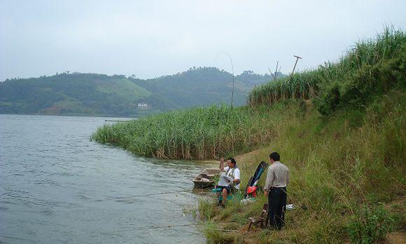 海岛大仓钓鱼技巧（掌握一招）  第3张