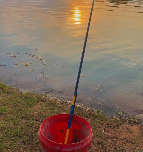 海岛钓鱼钓龙虾技巧（揭秘钓龙虾的技巧）  第2张