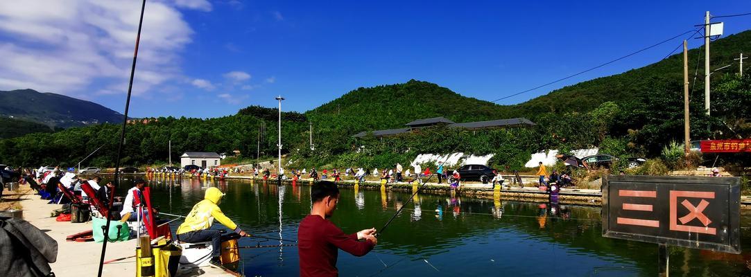 海岛手竿钓鱼技巧（掌握技巧）  第3张