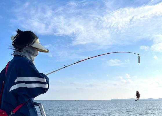 海钓沉底钓鱼技巧教程（掌握海钓沉底钓鱼的技巧）  第3张