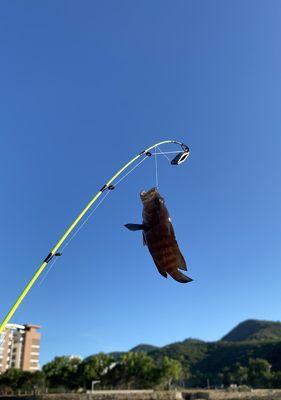 海钓筏钓鱼技巧教程（从入门到精通）  第2张