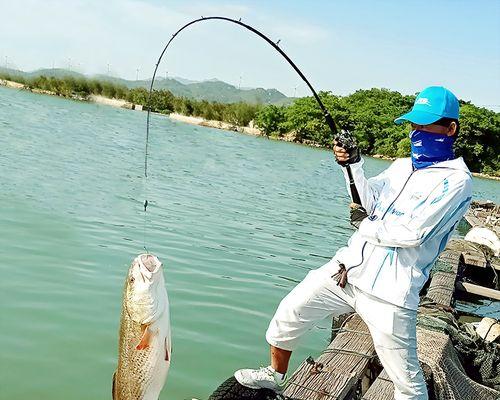 海钓竿新手甩竿技巧（提高钓鱼技术）  第1张