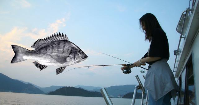 海钓手杆钓鱼技巧（掌握海钓技巧）  第2张