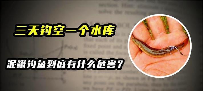 海竿绑泥鳅钓鱼技巧（掌握钓鱼技巧）  第3张