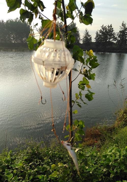 掌握海竿钓鲢鳙鱼的技巧（大海中的垂钓乐趣）  第1张