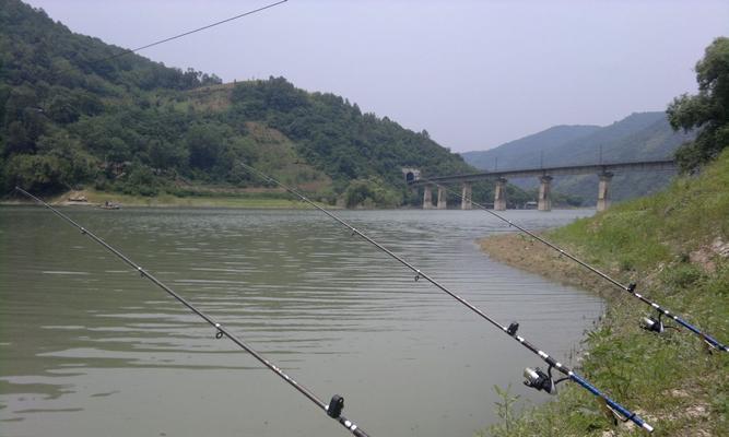 海竿钓鱼浮漂技巧（掌握浮漂技巧）  第2张