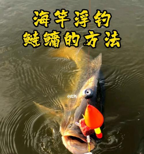 海竿钓鱼技巧与调漂方法教程（海竿钓鱼的技巧和调漂方法详解）  第2张