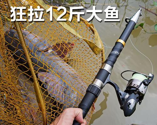 海竿钓鱼技巧全套教程（轻杆、重杆、水中作战）  第2张