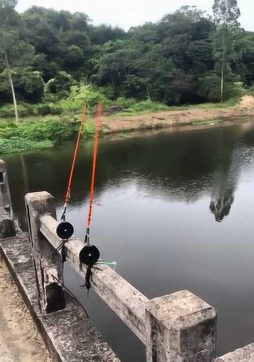 海竿钓鱼技巧大揭秘（提升钓鱼技巧）  第1张