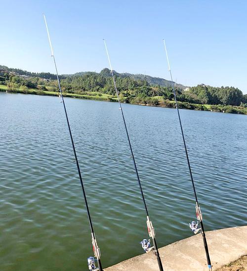 海竿野钓实战技巧（揭秘专业海竿野钓技巧）  第3张