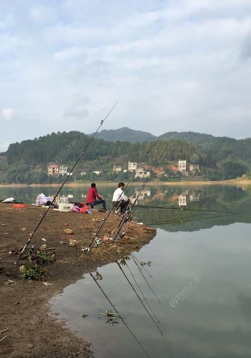 探秘海竿野钓水库鱼的技巧（钓友必知的水库鱼野钓技巧与经验）  第2张