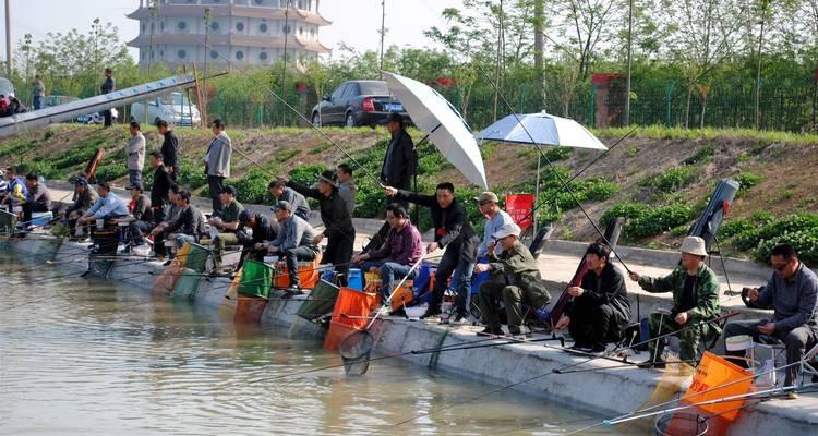 黑坑钓鱼正钓技巧大揭秘（从选钓点到诱饵）  第1张