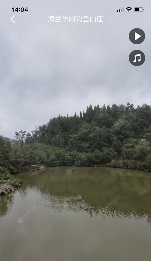 黑坑深秋水库钓鱼技巧（掌握钓点选择和饵料搭配）  第1张