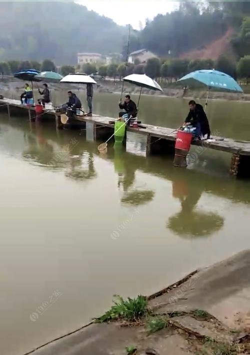 黑坑夜钓鱼技巧大揭秘（暗夜钓鱼的高级技巧和关键点解析）  第1张