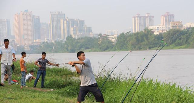 掌握黑坑鱼塘钓鱼技巧，享受丰收乐趣（技巧、策略、装备）  第1张