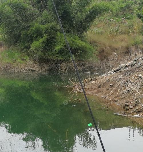 红水河岸钓技巧（掌握红水河岸钓鱼技巧）  第1张