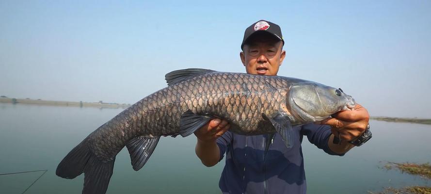 湖北冬天垂钓技巧（湖北冬天垂钓技巧分享）  第1张