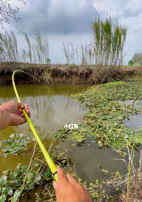 急流水钓鱼技巧（掌握成功的关键）  第1张