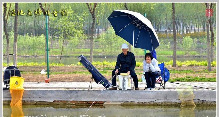 家庭钓鱼的方法和技巧（让你的家庭钓鱼之旅更加成功）  第3张