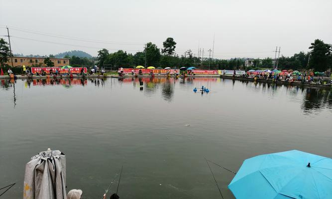 家庭小池塘钓鱼的技巧与心得（让你在家也能享受钓鱼的乐趣）  第1张