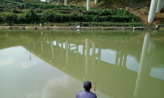 家鱼塘垂钓技巧（钓鱼大全）  第3张