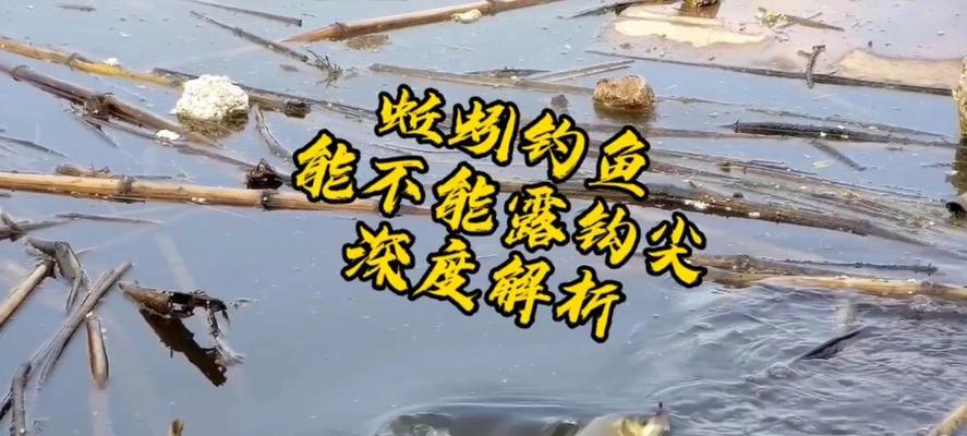 春季蚯蚓钓鱼秘籍（技巧详解）  第1张