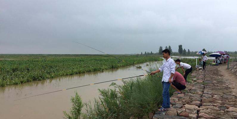 春天来临，钓鱼技巧大揭秘（开春野钓）  第1张